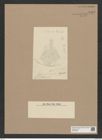 Coscinodiscus sp. (de-Toni-Nr.: Genus 202) Zeichnungen Sammlung Grunow Nr. 8952 (NHMW-BOT-W0378639)